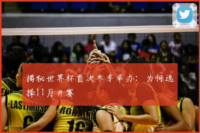 揭秘世界杯首次冬季举办：为何选择11月开赛