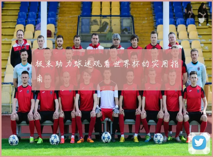 极米助力球迷观看世界杯的实用指南