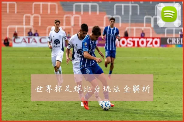 世界杯足球比分玩法全解析