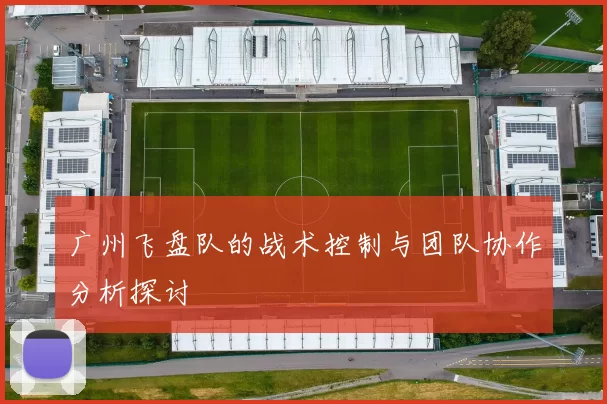 广州飞盘队的战术控制与团队协作分析探讨