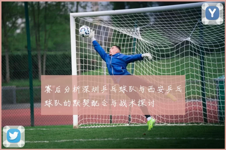 赛后分析深圳乒乓球队与西安乒乓球队的默契配合与战术探讨