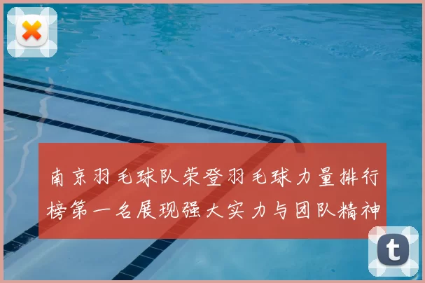 南京羽毛球队荣登羽毛球力量排行榜第一名展现强大实力与团队精神