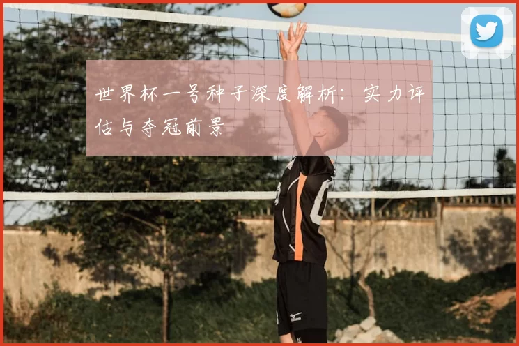 世界杯一号种子深度解析：实力评估与夺冠前景