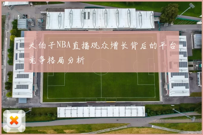 大伯子NBA直播观众增长背后的平台竞争格局分析