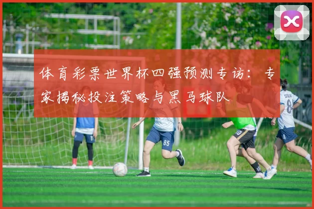 体育彩票世界杯四强预测专访:专家揭秘投注策略与黑马球队