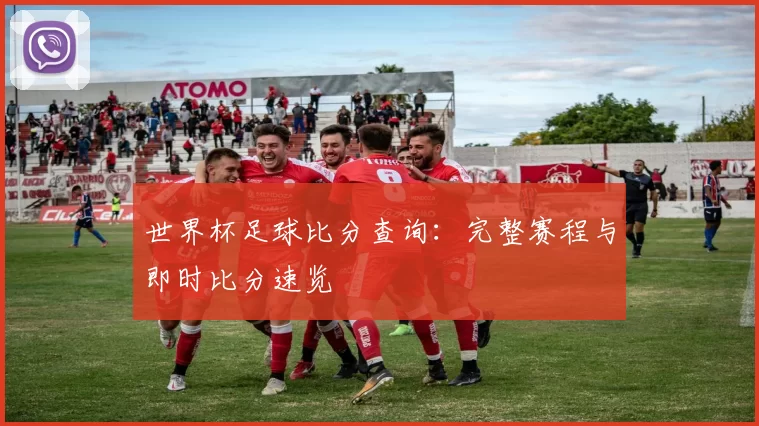 世界杯足球比分查询:完整赛程与即时比分速览