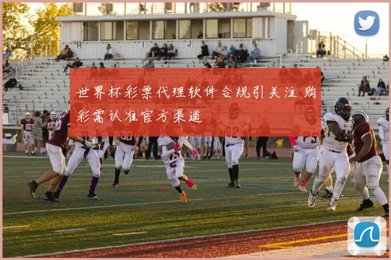 世界杯彩票代理软件合规引关注 购彩需认准官方渠道