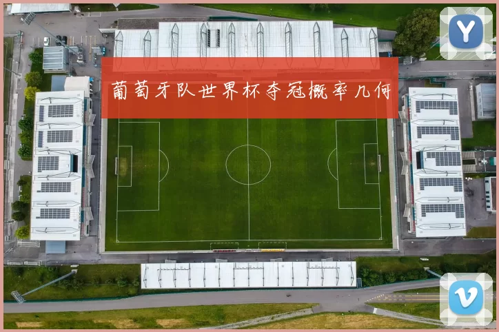 葡萄牙队世界杯夺冠概率几何