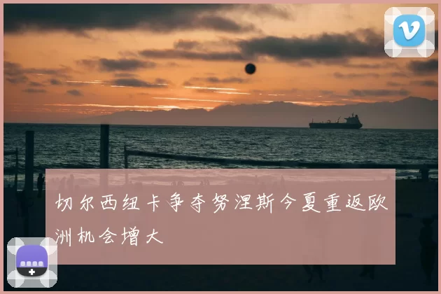 切尔西纽卡争夺努涅斯今夏重返欧洲机会增大