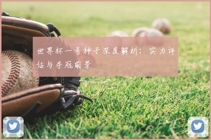 世界杯一号种子深度解析:实力评估与夺冠前景