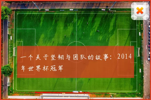 一个关于坚韧与团队的故事：2014年世界杯冠军