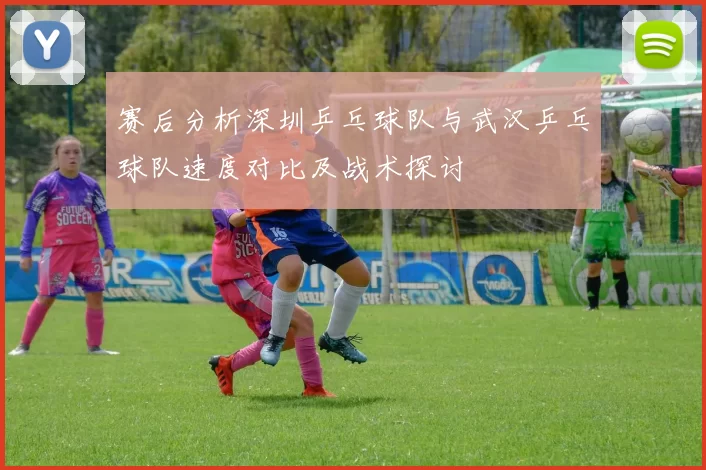 赛后分析深圳乒乓球队与武汉乒乓球队速度对比及战术探讨