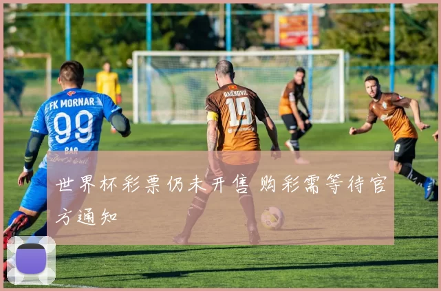 世界杯彩票仍未开售 购彩需等待官方通知