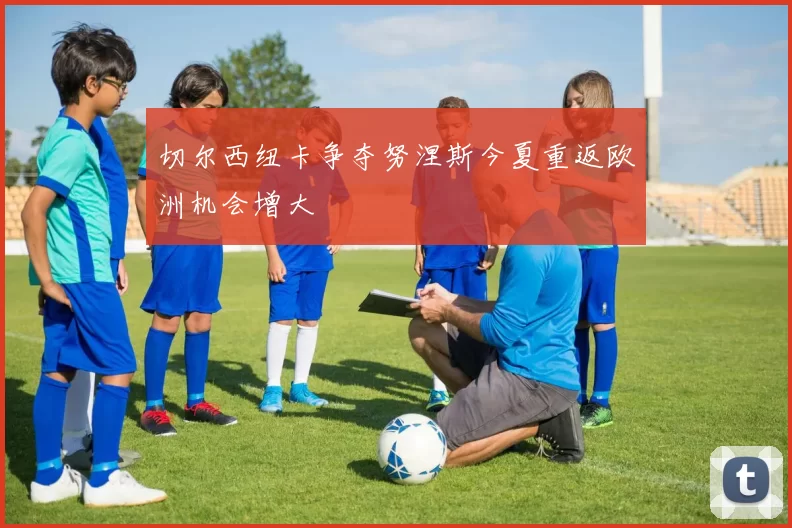 切尔西纽卡争夺努涅斯今夏重返欧洲机会增大