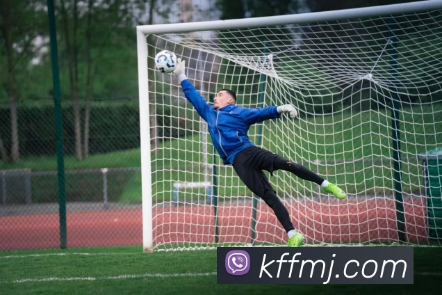 爱游戏体育APP 封面图